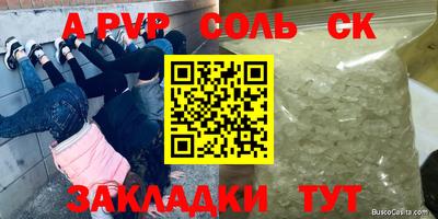 дмт Бердск