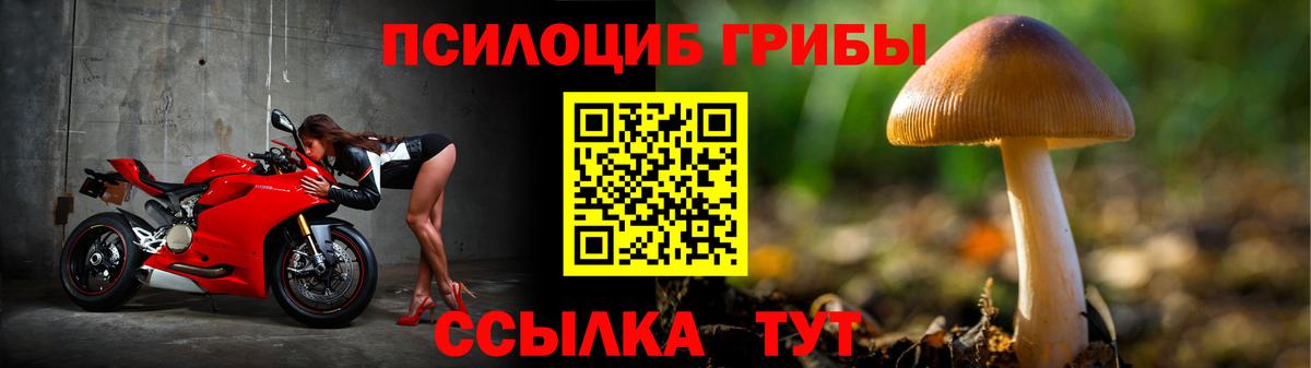 Добрянка  Псилоцибиновые грибы GOLDEN TEACHER  Вход с VPN 